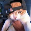 kenzyyoo666