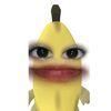 nouie_