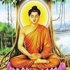 Về miền đất Phật