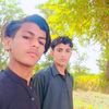 gull.sher327