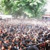 fajar.aji88
