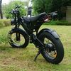 bambasarr701