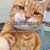 hngkool85