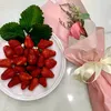 ngoc.vo97
