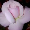 nwe234878782367