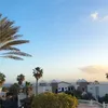 jesse_hopex