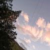 d_xniela481