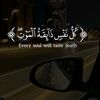dk.saleem22