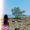 cherestisendaifernina
