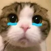 noinhieuqua2222