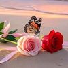 user134902058254