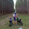 dann_4530