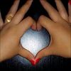 moeliadhy6