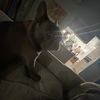 grayjb