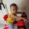 hamim8368