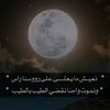 user5617461175080