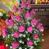 phuong.le369