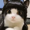 _phuongtrinhh00