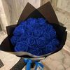 quinniee31__