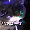 itz.real_ta8yoat