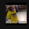 pepe.mongo5