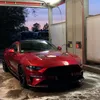 stang.55