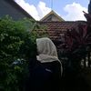 zaa_2512_