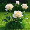 aung.zaw0527