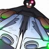kiwi_122345567