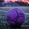 saint_maximin097