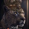 el_moudira_013