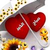 user804542851