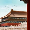 历史君