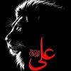 syed.shakir.ali76
