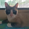 nilma.castro84