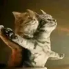 miaassj2