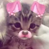 chars.account4