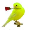 sanf_ooira