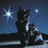 neko0_0kiki