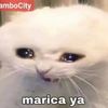 vansy682