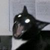 ahahaharawr_