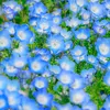 user5508870312976ノウガキタロー