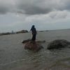 liiia764