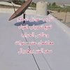 user0538352955