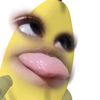 yxxbel