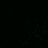 armanov_556