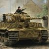 tiger.1.007