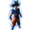 teamgoku461