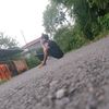 anggabugis03