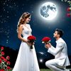 mumtaz.bhatti534